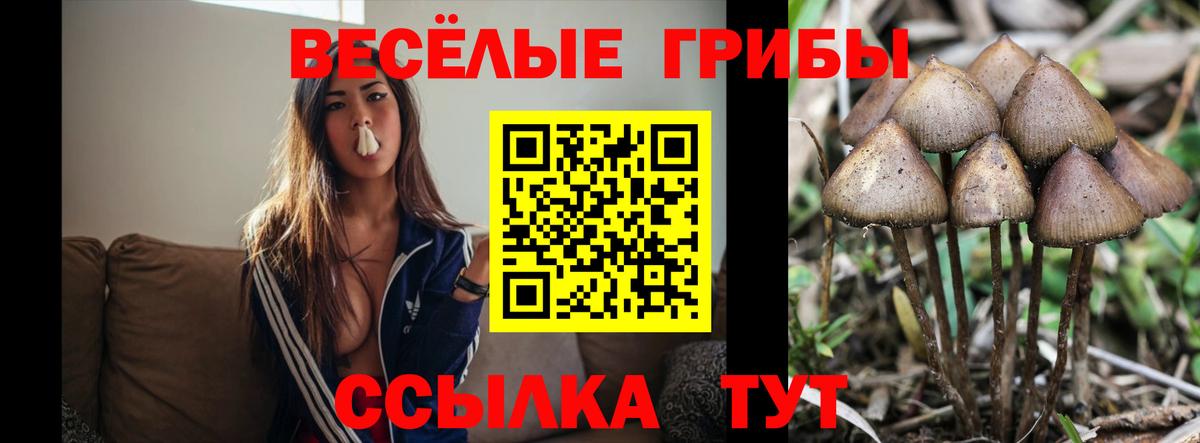 Галлюциногенные грибы Magic Shrooms  Вход с VPN  Шали 